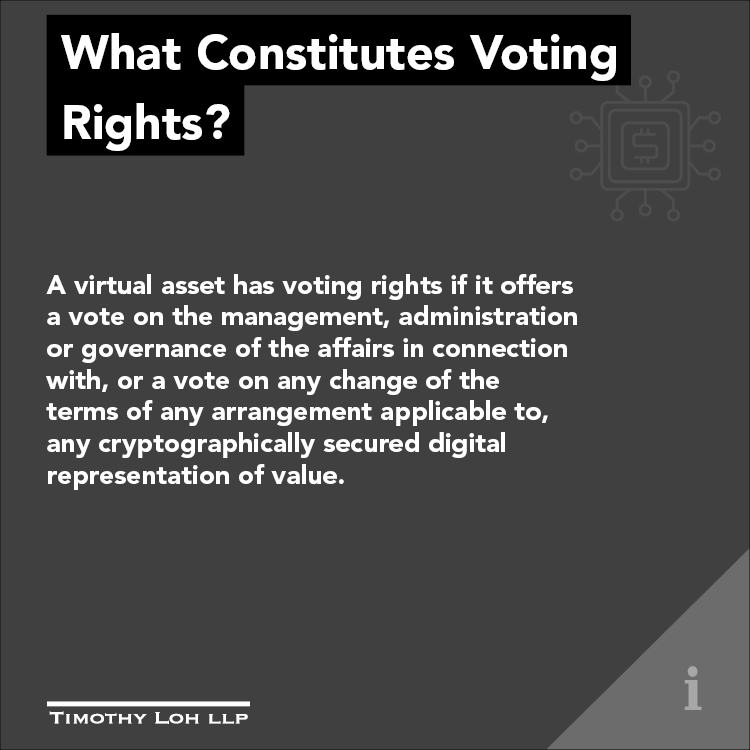 What Constitutes Voting Rights?